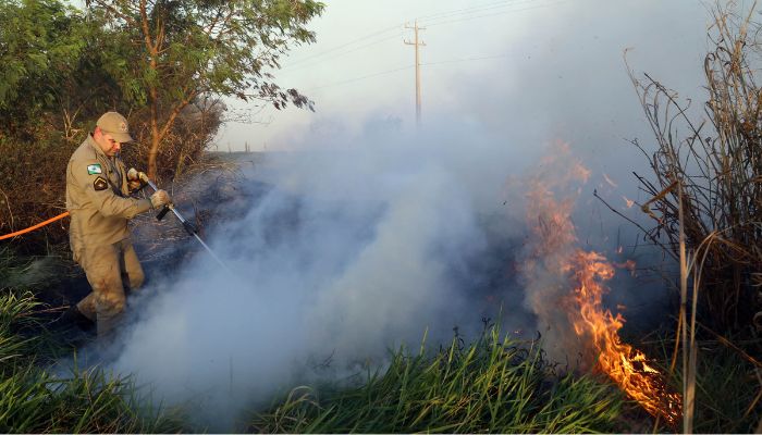  IAT estabelece portaria orientativa sobre incêndios em imóveis rurais do Paraná